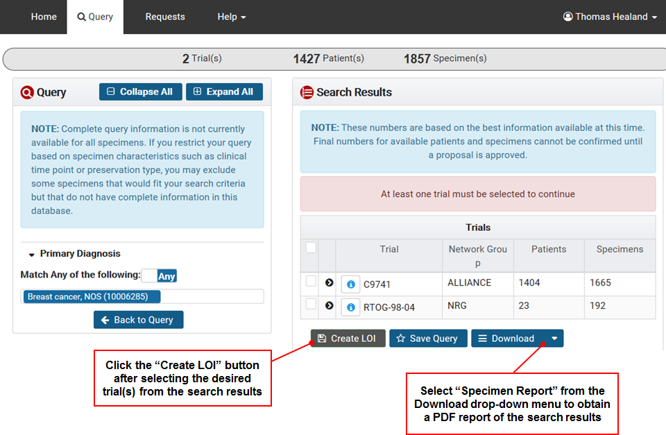 A screenshot that emphasizes the Search Results section of the Query tab.