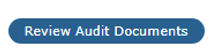 Review Audit Documents button