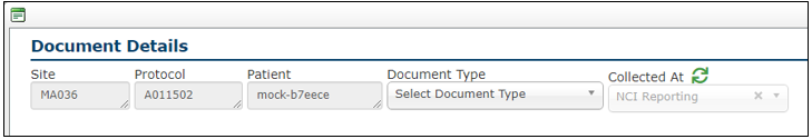Figure 2: Filters at the top of Document Details screen